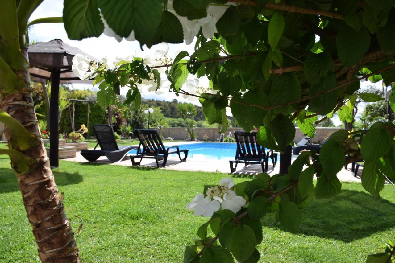 Alagoas4Family - Country House Arouca Dış mekan fotoğraf